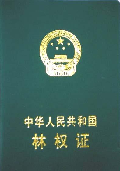 Forest tenure administration The forest tenure certificate registered, filed and issued by the people s government at or above county level, is