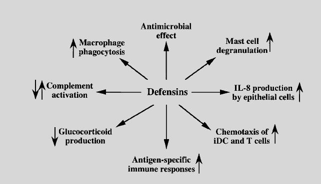 Defensins (DEF) Multiple roles Immunity & Cancer