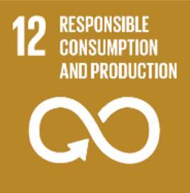 Goal 12: Ensure sustainable consumption and production patterns. Target 12.