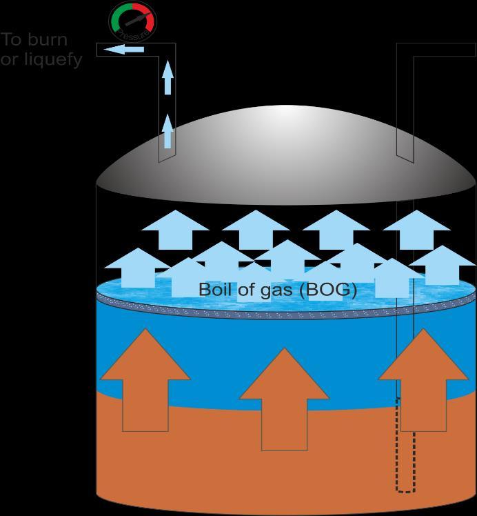 heat and mass within the storage tank