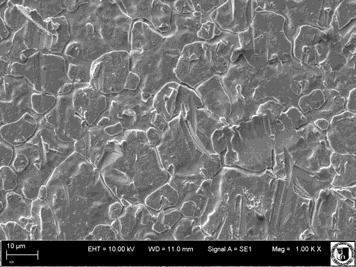 by sol-gel method. Fig. 7. SEM image of titanium coating at 1000x Fig. 8.