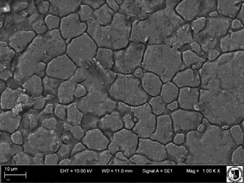 SEM image of silica (TEOS+DEMS) coating at 1000x Fig. 9.