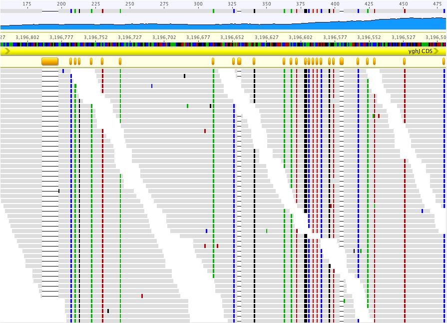 Reference genome Mapped