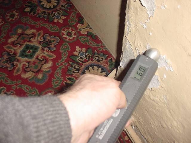 prepare and Finding damp Carpet Worn Clean and/or replace Joinery: One
