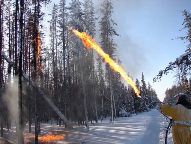 Figure 6. Fuel component is too high. Note fuel ignition at torch nozzle tip and burning fuel at base of tree (the fuel does not stick to the canopy).