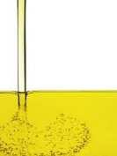Squalene - ingredient of Plantasens Olive Active HP oil for
