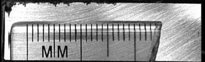 Image of corrosion on Mg surface coupled with 30 mm diameter steel insert (side 2) Fig.