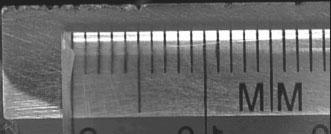 Image of corrosion on Mg surface coupled with 30 mm diameter steel insert (side 1) Fig.