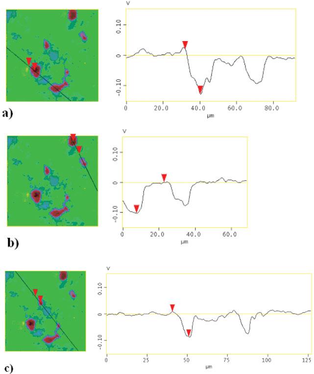 A representative contact potential difference map for the SKPFM of magnesium alloy AZ91D