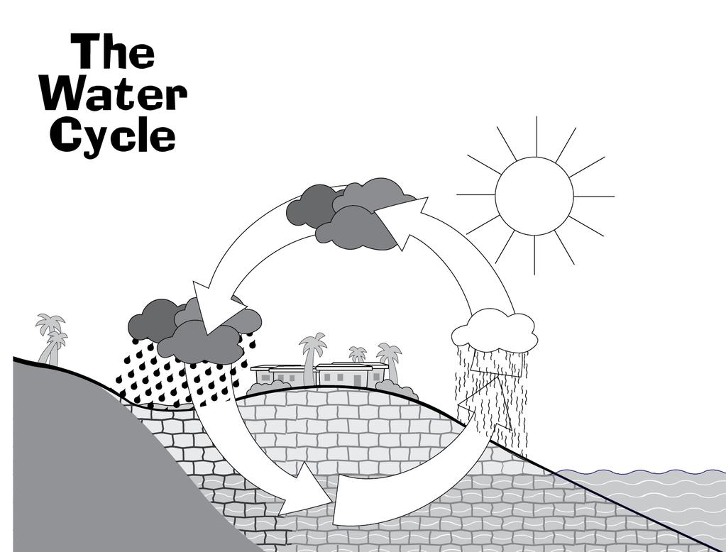 Water Cycle Worksheet Student Name: Date: