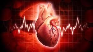 Decisions New Coordination Mechanisms A Faster Heartbeat Be Aware of the Not
