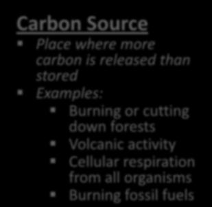 stored Examples: Decomposition Burning or cutting down forests Volcanic activity Cellular