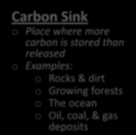 death Detritus Primary consumers Carbon Sink o Place where more carbon is stored than released