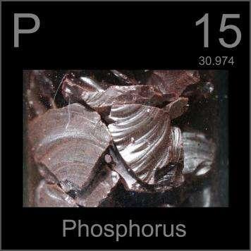 Phosphorus is found in rocks and sediment which gets moved by water Plants absorb