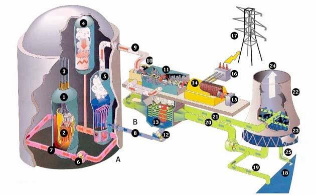 Schematic of a Nuclear Power Plant A. Primary circuit B. Secondary circuit C. Tertiary circuit 1. Reactor 2. Fuel assemblies 3. Control rods 4. Pressurizer 5. Steam generator 6. Primary pump 7.