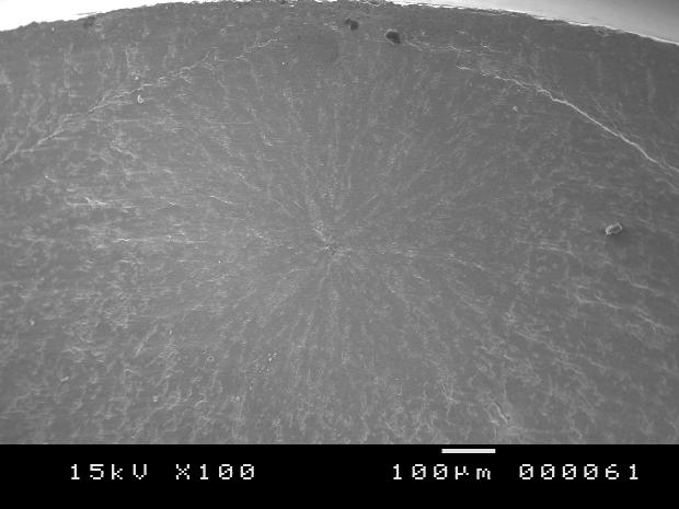 .6mm Figure 3 SEM micrograph of fatigue fracture surface of nitrided specimen 9 Value of Magnetic Detector (MDK Tester) 8 7 6 5 4 2 1 1 2 4 5 Number of Cycles Gas Nitrided(σ=61MPa) Gas