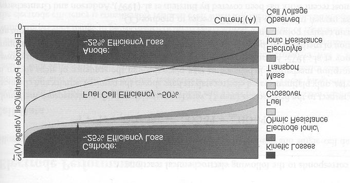 Breakup of DMFC Losses E cell = E cathode -E