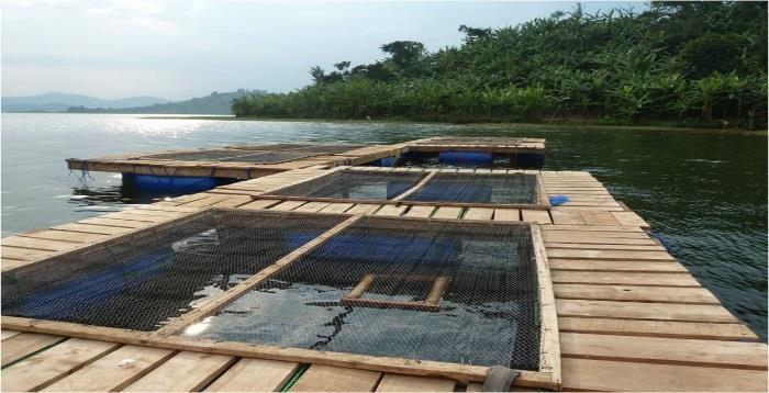 Aquaculture products Large Scale farm, slaughterhouse and export of meat