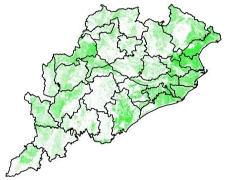 Rice map of Odisha