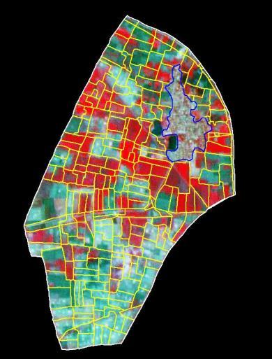 LISS-IV DATA WITH CADASTRAL OVERLAY SHOWING