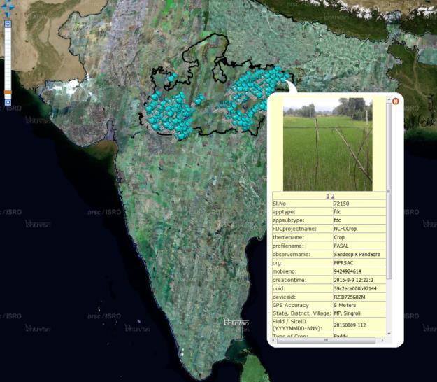 Mobile Apps for crop field data