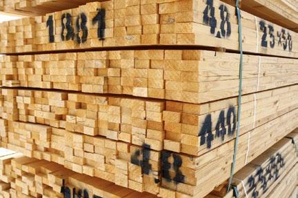 Our advantage is a quality guarantee and efficiency: the entire production process of Lotus Timber is in one place from the beginning to the end.