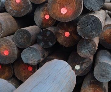 profile of Lotus Timber also includes the following: Transmission and communication