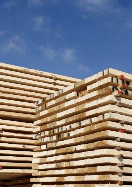 OUR PROFESSIONAL TECHNOLOGIES All wood processing technologies used by Lotus Timber focus on providing our clients with