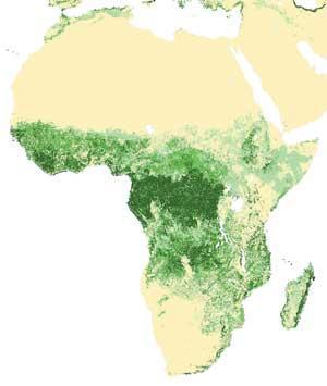 The correct statistics 650 mi ha or 17% of the world s forests. (>60% of Western Europe! Of which 1.
