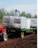 In-Field Fermentation Studies by Oklahoma State University Production Yields for Sweet Sorghum in OK Potential