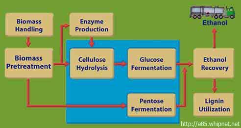Hemicellulosic Ethanol Production Remains Elusive Hemicellulose