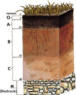 Storing water in the soil Increasing soil