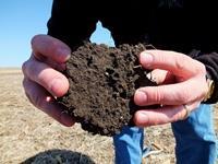 Increasing soil organic matter can