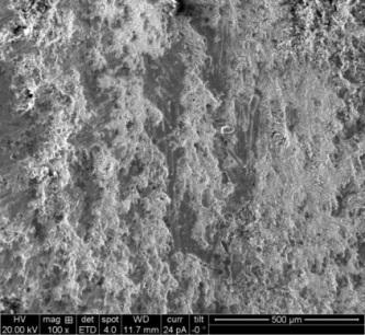 test and Figure 11b, 11c & 11d shows the SEM images of coated samples with