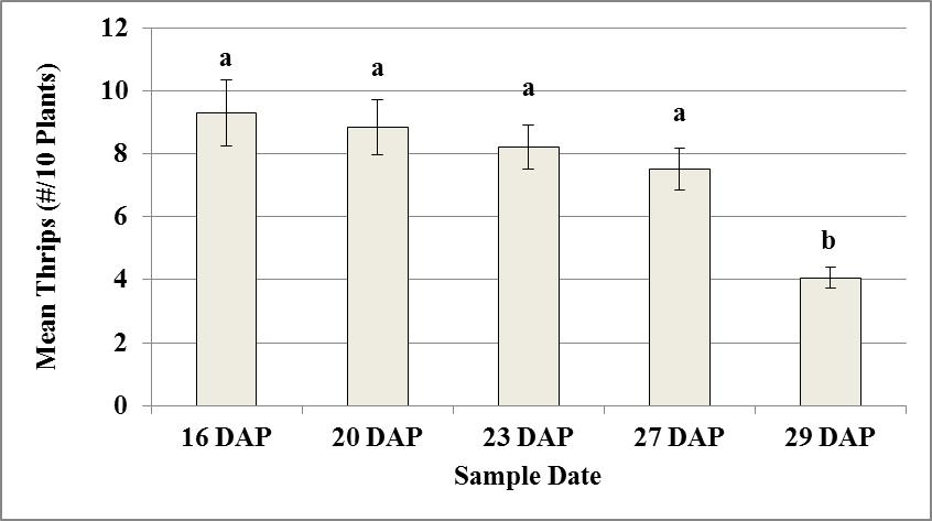A B Figure 1.7. Effect of sample date on mean population densities of (A) adult and (B) immature thrips in cotton plots near Blackville, SC, 2011.