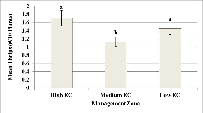A B Figure B-2. Effect of soil texture on mean population densities of (A) adult and (B) immature thrips in cotton plots in Hampton County, SC, 2008.