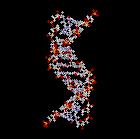 DNA & Protein
