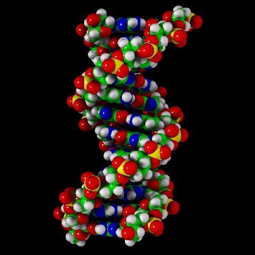 DNA The genetic code is a sequence of