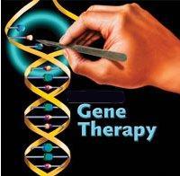 Gene Therapy Gene therapy is a technique for correcting defective genes responsible for disease development.