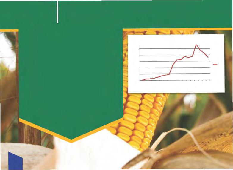 Fact 3 South Africa was the first country to grow a GM subsistence crop (maize) in the world. 1.