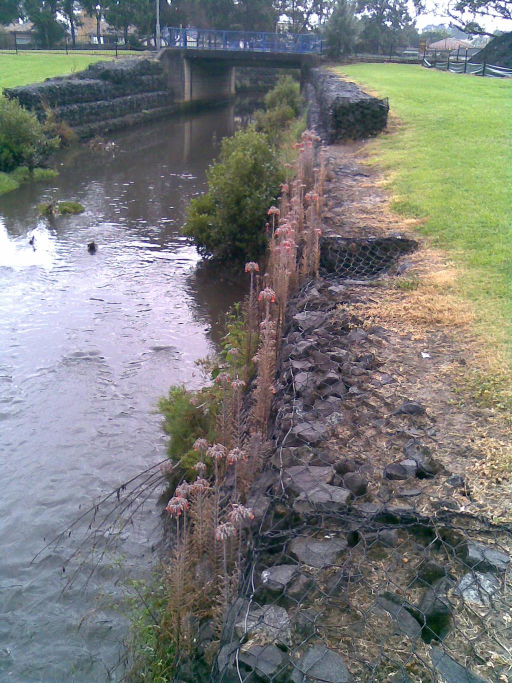 Gabions Gabions are loose rock structures to prevent soil erosion. Located along/across gullies or stream banks. They trap soil and reduce water velocities. They help maintain and control stream flow.