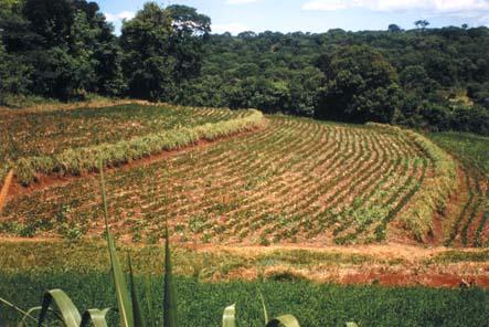 Terracing This is largely about preventing soil-erosion and utilizing the land for
