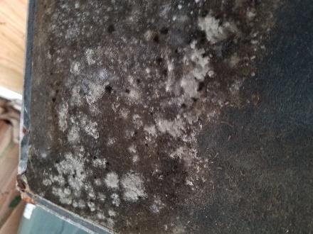 Section 17 HVAC Mold spores found inside air handler.