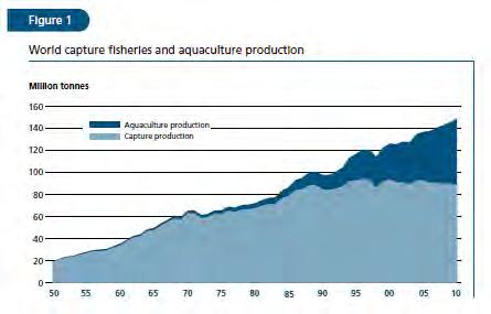 Aquaculture 60 000 000 FAO, 2010 Value (in 1000 USD) 50 000 000 40 000 000 30 000 000 20 000 000 10 000