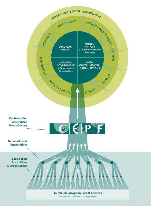 CEPF from roots to crown Core principles Sustainable forest management and multifunctionality of forests and other wooded land