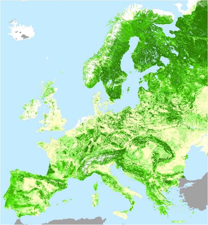 European forests a key resource for the bioeconomy 38% EU s land area forested (157 mio ha) EU forest cover increasing by 0.5 mio ha/a Growing stock increase by 249 mio m3/a (1.