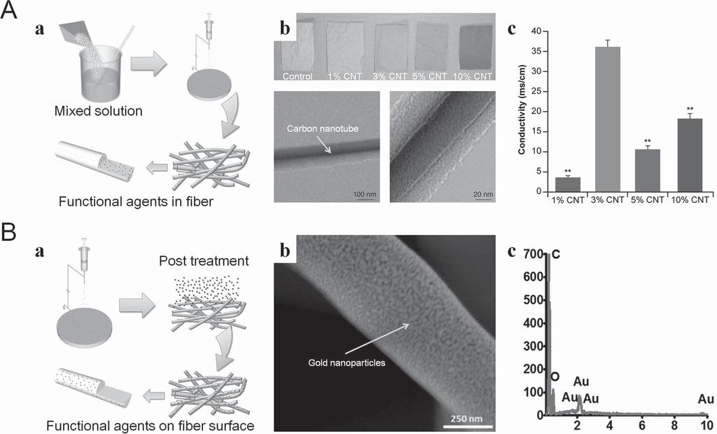 Figure 4. Functionalization of electrospun scaffolds during and post fabrication.