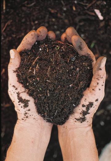 Multiple Benefits Soil building Improved water and air quality Sequester carbon in