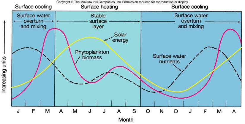 Combining Solar radiation and nutrient availability (midlatitude): Nutrients are high in winter b/c of vertical mixing, and low in summer due