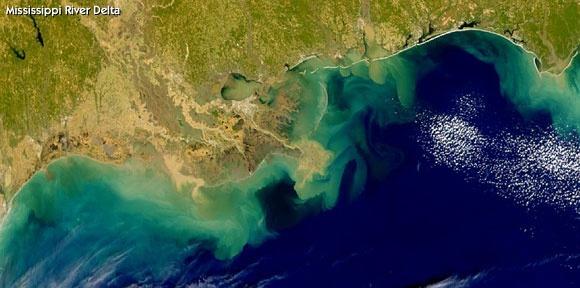 HAB / Dead Zones (continued) Fertilizers (N & P) from mid-continent flow down the river and out into Gulf of Mexico (see the sediment plume) During summer, the